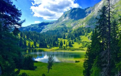 waldgeschichten-geschichte-des-waldes-see-wald-berge