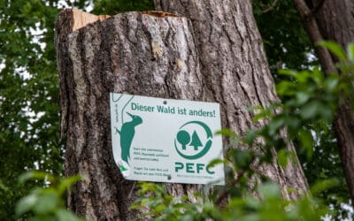 waldgeschichten-wald-zertifizierung-pefc-schild