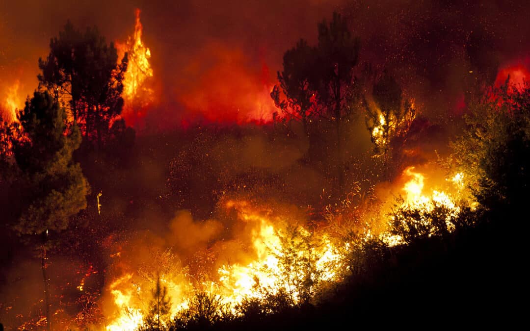 Größter Waldbrand Österreichs im Rax-Gebiet