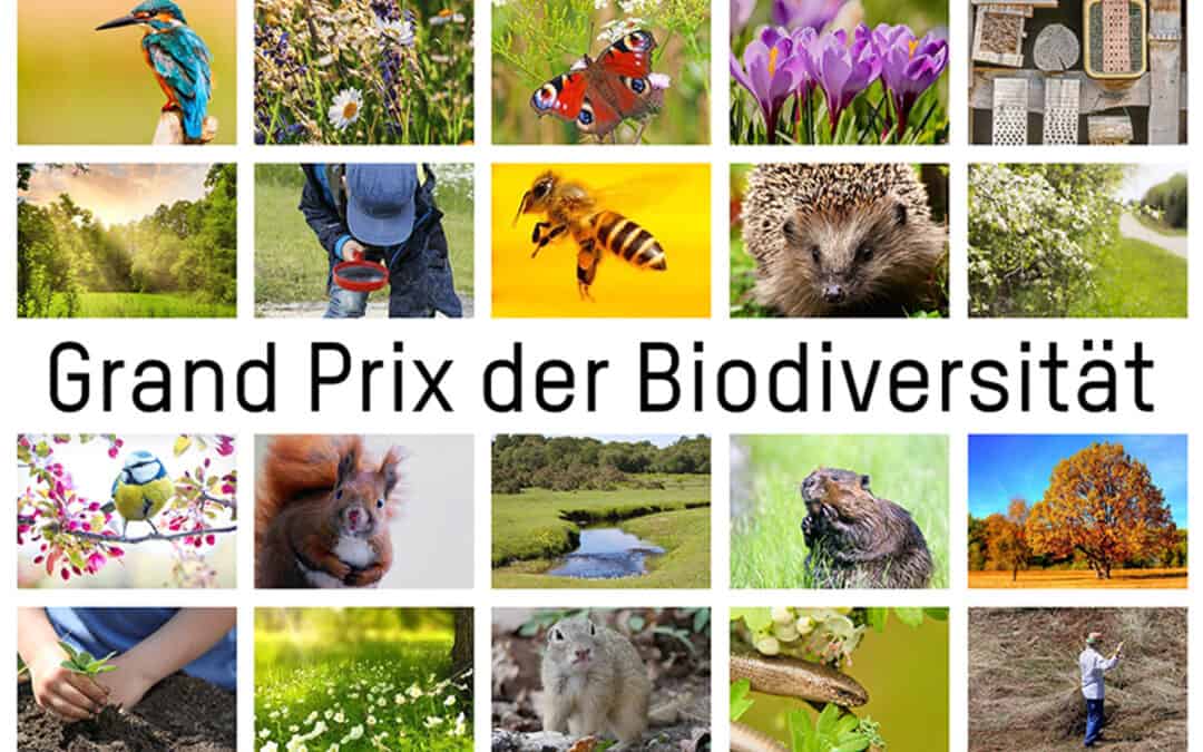 Grand Prix der Biodiversität