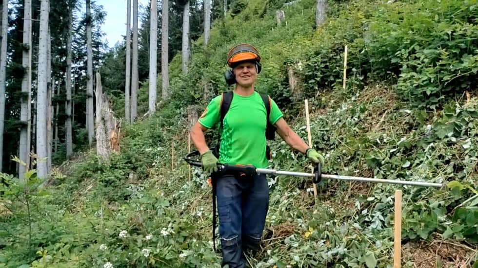 waldgeschichten-guenter-erklaert-seine-pflegemaßnahmen-im-wald