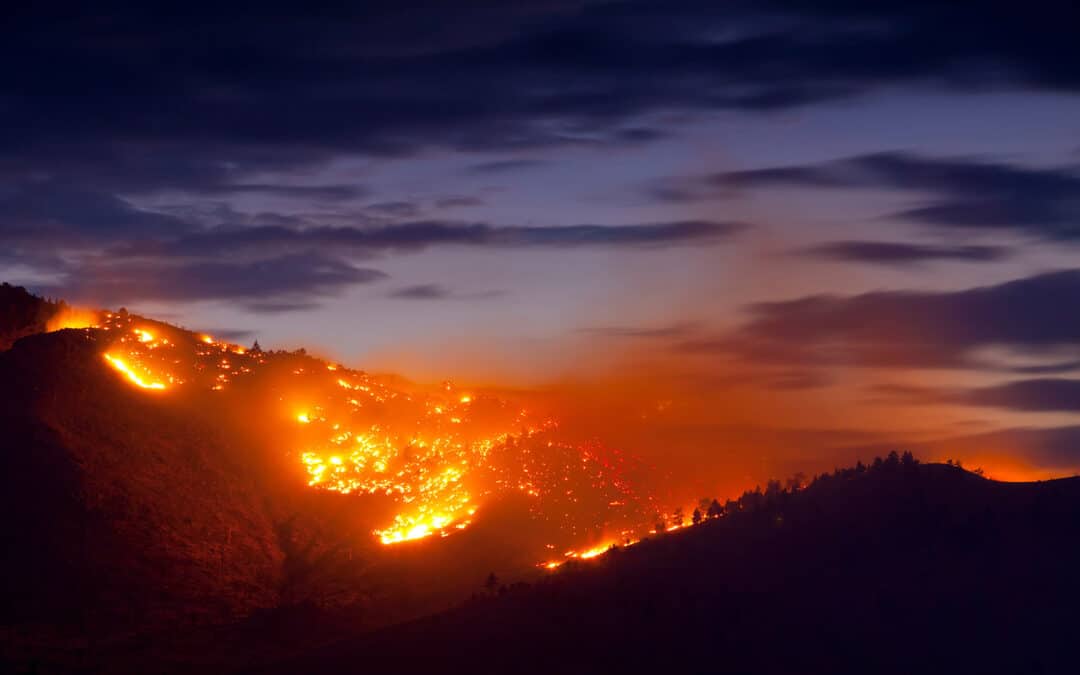 Trockenheit & Hitze beziffern 2022 als kritisches Waldbrandjahr