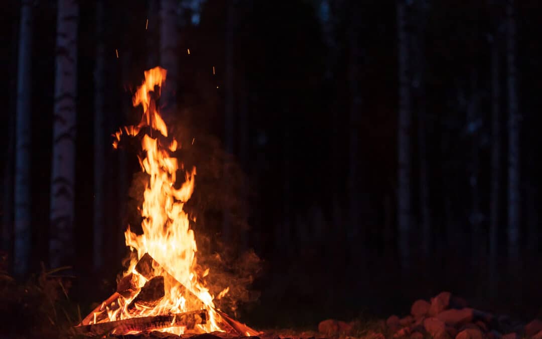 Schützt den Wald vor Feuer!