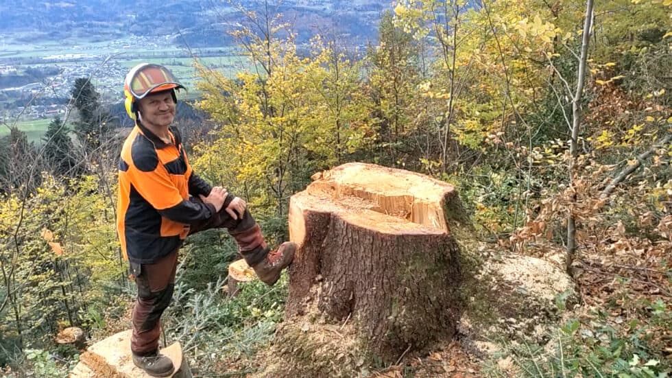 waldgeschichten-video-wald-app-holz-nachhaltig-nutzen-guenter-erklaert