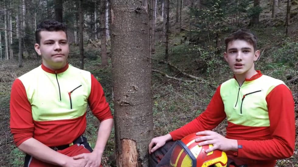 waldgeschichten-video-wald-app-totholz-als-wohnraum-fuer-gegenspieler-von-waldschaedlingen-erklaert