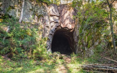 waldgeschichten-kostbarkeiten-im-wald-hoehle