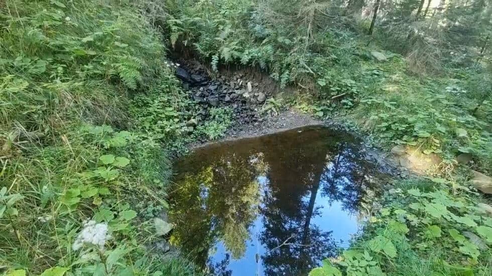 waldgeschichten-video-wald-app-wasserrueckhalt-wassermanagement-im-wald-erklaert