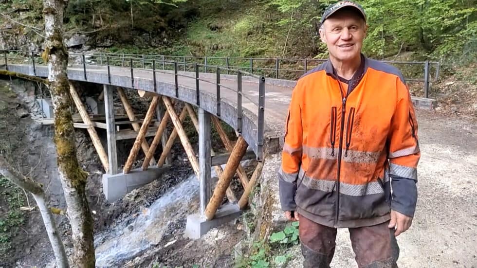 waldgeschichten-video-brueckensanierung-mit-holz-guenter-erklaert