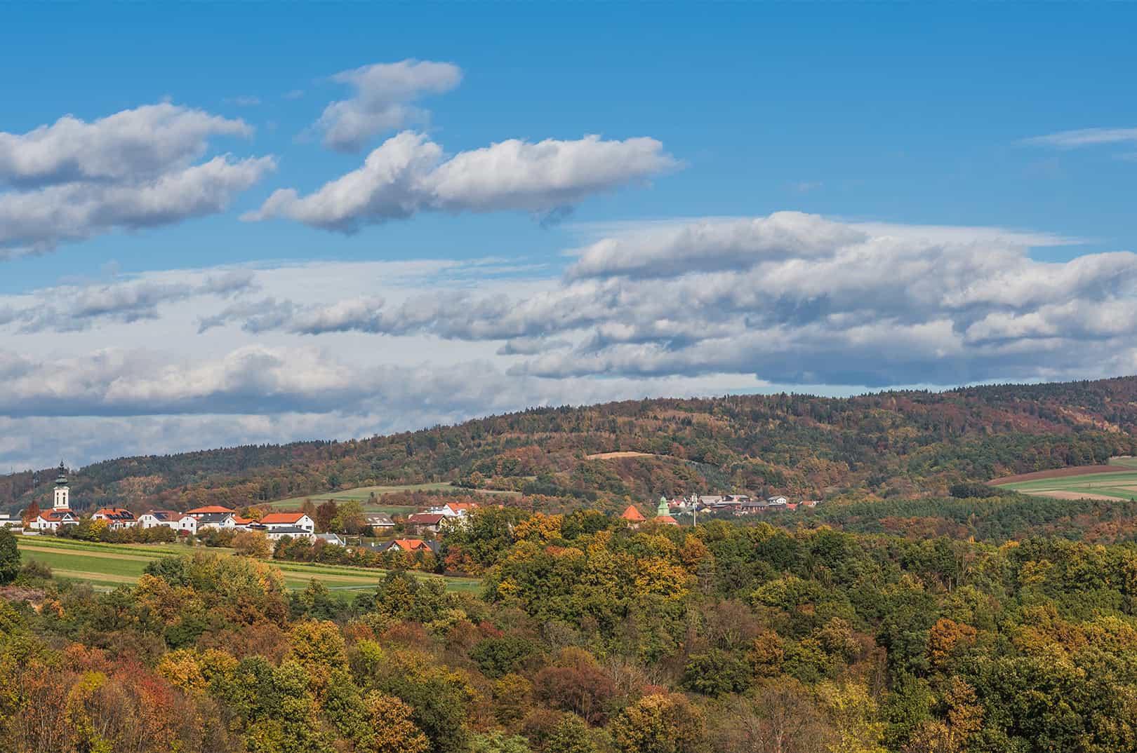 waldgeschichten-ausflugstipps-im-burgenland