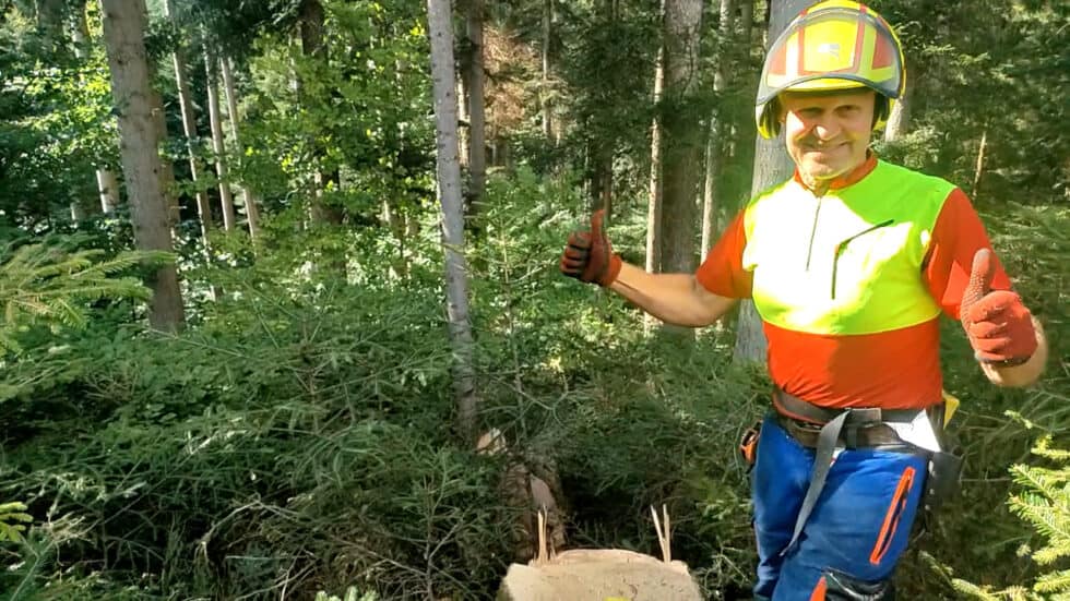 waldgeschichten-video-guenter-erklaert-warum-waldbewirtschaftung-und-holz-das-klima-schuetzen