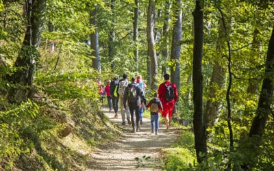 waldgeschichten-wissen-ueber-den-wald-bildungsangebote-foto-menschen-die-in-den-wald-gehen