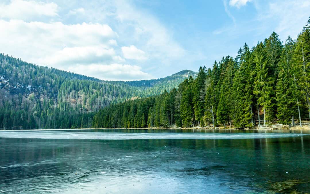 Das größte Waldschutzgebiet mitten in Europa – Der Böhmerwald