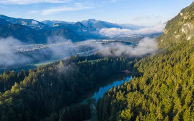 waldgeschichten-waelder-als-schluesselakteure-foto-drohnenaufnahme-schutzwald-tirol