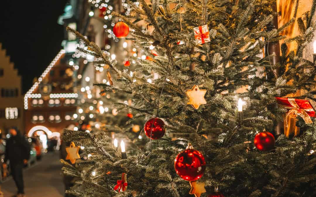 Christbäume aus Österreich: Qualität, Tradition und Nachhaltigkeit