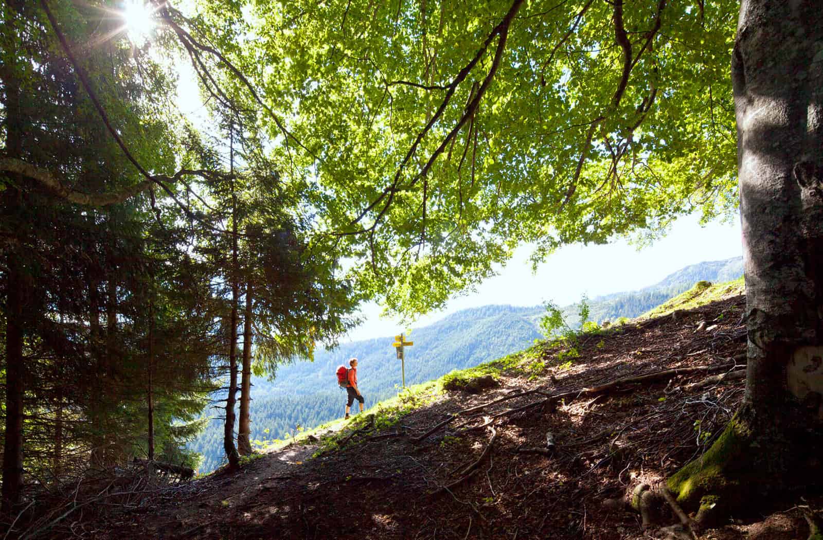 Schon jetzt, im Frühling 2025, ist die Waldbrandgefahr sehr hoch